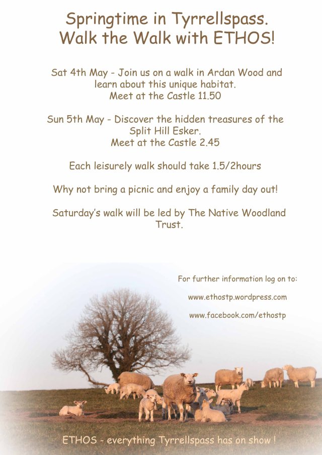 Click on image to visit blog