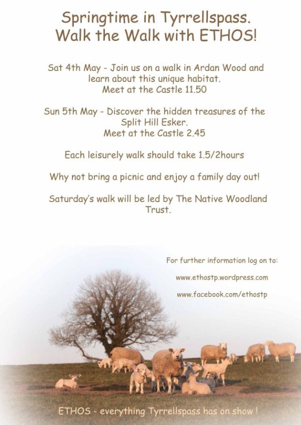 Click on image to visit blog