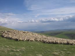 From AmericasHeartland.com.