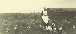 Annie and her geese