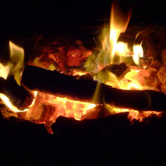 Photo courtesy of the fantastic blog - That Curious Love of Green - check it out by clicking on the image.