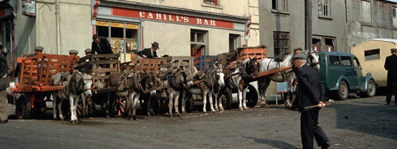 Courtesy of www.PuckFair.ie