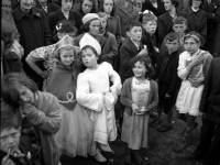 Courtesy of www.PuckFair.ie